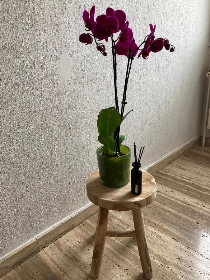 Rustig Appartement In Het Groen Met Terras Kontich Ngoại thất bức ảnh